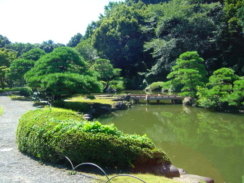 新宿御苑　池