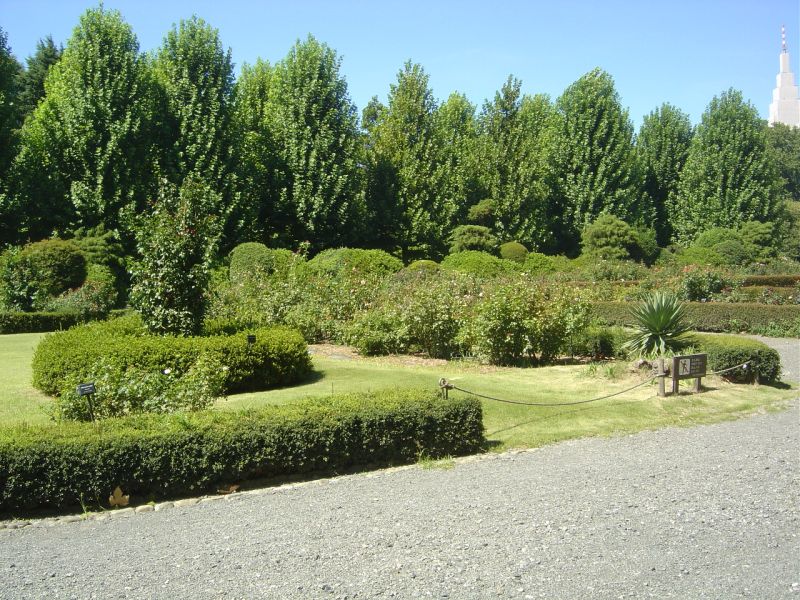 新宿御苑　庭園