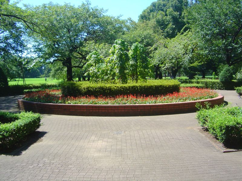 新宿御苑　庭園