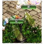 テイマのペットn