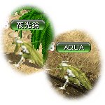 テイマのペットn