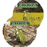 テイマのペットn