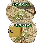 テイマのペットn