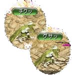 テイマのペットn