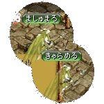 テイマのペットn