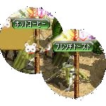 テイマのペットn