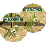 テイマのペットn