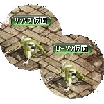 テイマのペットn