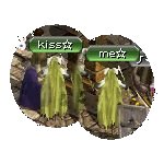 テイマのペットn