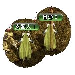 テイマのペットn