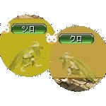 テイマのペットn