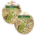 テイマのペットn