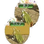 テイマのペットn