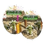 テイマのペットn