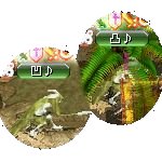 テイマのペットn