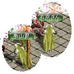 テイマのペットn