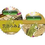 テイマのペットn