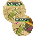 テイマのペットn