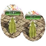 テイマのペットn