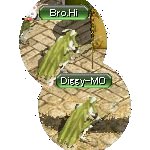 テイマのペットn