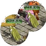 テイマのペットn