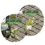 テイマのペットn