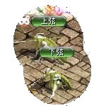 テイマのペットn