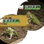 テイマのペットn