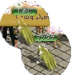 テイマのペットn