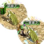 テイマのペットn