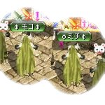 テイマのペットn