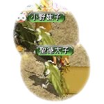 テイマのペットn