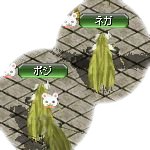 テイマのペットn