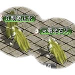 テイマのペットn