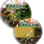 テイマのペットn