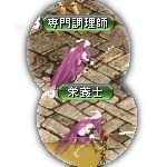 テイマのペットn