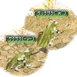 テイマのペットn