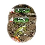 テイマのペットn