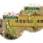 テイマのペットn