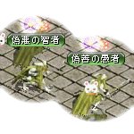 テイマのペットn