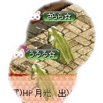 テイマのペットn