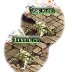 テイマのペットn