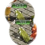 テイマのペットn