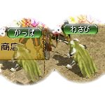 テイマのペットn