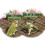 テイマのペットn