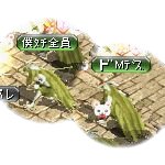 テイマのペットn