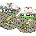 テイマのペットn