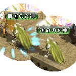 テイマのペットn