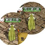 テイマのペットn