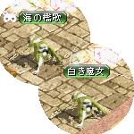 テイマのペットn